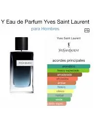 Miniatura Yves Saint Laurent Y edp 100ml